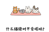 谐音梗挑战第4关攻略  什么猫绝对不会呕吐
