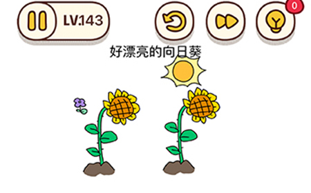 烧脑大师脑洞我最大第143关攻略  好漂亮的向日葵