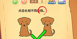 最强大脑闯关第2关攻略  最强大脑闯关攻略2关
