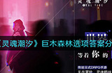 灵魂潮汐巨木森林选项答案是什么  巨木森林选项答案分享