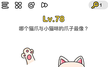脑洞大师第78关攻略  哪个猫爪和小猫咪的爪子最像呢