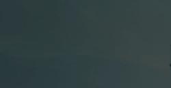 《猎人：荒野的呼唤》费南多动物有什么特点