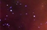 剧情向冒险游戏《星际迷航：复苏》现已在Steam平台正式推出