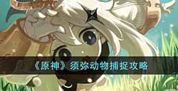 原神须弥动物怎么抓  须弥动物捕捉攻略