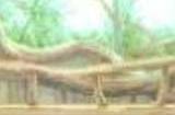 dnf装扮预设怎么取消 装扮预设取消方法介绍