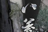 《鬼谷八荒》枪修先天气运选择攻略