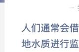 人们通常会借助于哪种昆虫蚂蚁庄园今日答案最新