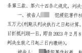 2024年光宇游戏打击《问道》私服成果显著：两名案犯俱获实刑