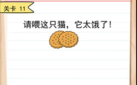 我答题贼6第11关攻略  请喂这只猫它太饿了