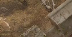 《无限暖暖》探险手册解锁方法介绍