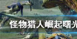 怪物猎人崛起轻弩如何配装 曙光轻弩配装攻略