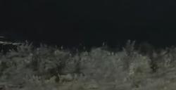 《明末：渊虚之羽》吃人头陀打法攻略分享