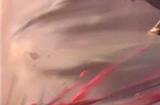 英雄联盟手游黑夜使者弗拉基米尔皮肤怎么样 黑夜使者弗拉基米尔皮肤介绍