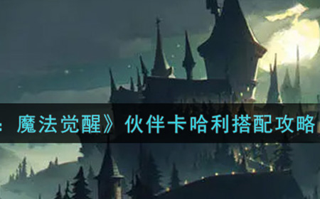 哈利波特魔法觉醒伙伴卡哈利怎么搭配  伙伴卡哈利搭配攻略