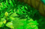 《幻想生活i》职业练级选择注意事项分享