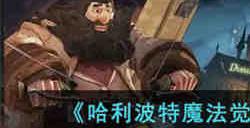 哈利波特魔法觉醒沙漠救援怎么玩 哈利波特魔法觉醒沙漠救援玩法介绍