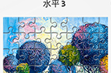 脑力游戏谜题第3关攻略  拼图