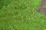 科幻太空农业模拟游戏《远花》现已上架Steam