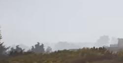 《颂钟长鸣》土豆甜菜种子怎么获得