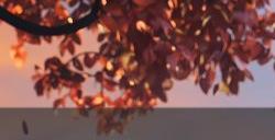 《和平精英》SMGBeautiful灵敏度怎么设置 SMGBeautiful灵敏度一览