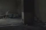 《暗区突围：无限》段位积分规则介绍