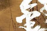 袁和平执导《镖人》新进展 李连杰时隔14年再演武侠