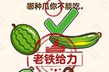 脑洞先生第121关攻略  哪种瓜你不能吃