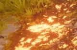 暗黑类ARPG《最后纪元》新预告 正式版2月21日发售