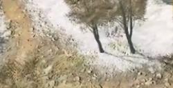 《古龙风云录》寻图止干戈视频流程通关攻略