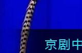 京剧中经常发出洪亮粗犷叫声的是哪个行当