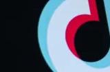 马斯克：没有兴趣收购TikTok 自己也不用TikTok