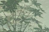 《绝地潜兵2》在线玩家数飙升 打破一项历史纪录