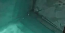 《最后纪元》侍祭幽影术士玩法攻略分享