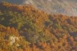 《羊蹄山之魂》只是《对马岛之魂》的大型DLC？ 粉丝热议：没有创新