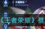 王者荣耀蔡文姬奇迹圣诞皮肤什么时候返场 王者荣耀蔡文姬奇迹圣诞皮肤返场时间2022最新