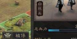 三国志战略版赵云适用性如何