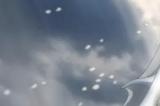 再提新副业 科乐美宣布成立KONAMI animation动画工作室