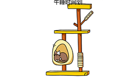 烧脑大师脑洞我最大第114关攻略  午睡时间到