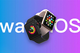 watchOS 9.1正式版发布  多项错误修复