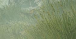 《地狱潜者2》炮塔使用需要注意什么