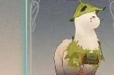森之国度猫灵强度排行榜 全猫灵排名