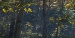 《猎人：荒野的呼唤》梅德韦泰嘉的欧亚猞猁怎么抓