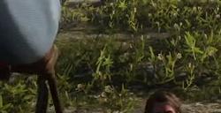 《荒野大镖客2》游戏狩猎大山谷区域有什么特点