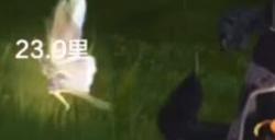 妄想山海求购功能怎么用