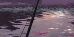 欢乐钓鱼大师s级评分怎么钓 s级千分以上的鱼技巧分享