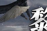 《拂晓》二周年 【黎明的曙光】版本重磅登场