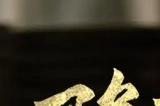 《隐形守护者》创造属于每个人自己的谍战传奇！