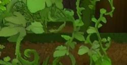 迷你世界雨林版本攻略玩法详解迷你世界雨林冒险怎么玩
