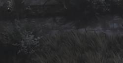 《最后纪元》双手长杖瘟疫携带者法杖有什么特点