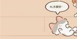 遇见你的猫兑换码大全2023最新 礼包CDK兑换码永久有效2023